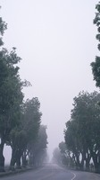 descargar wallpaper de Naturaleza